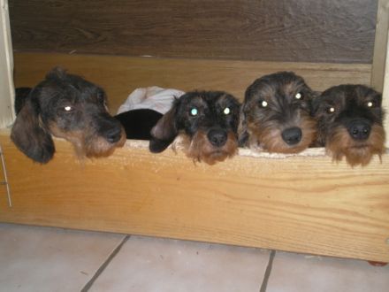 vom Schwindauer-Land