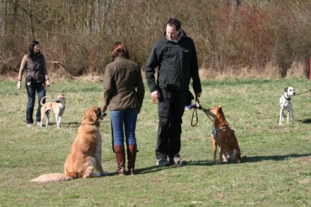 HundeKompetenz. Prinz.