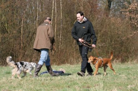 HundeKompetenz. Prinz.