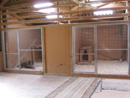 Hundepension Busch Ottweiler (Saarland)