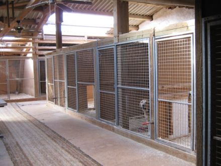 Hundepension Busch Ottweiler (Saarland)