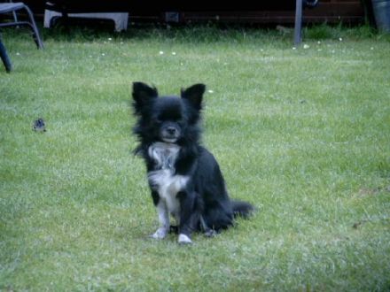 Eyko vom Bergmannsplatz