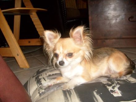 Eyko vom Bergmannsplatz