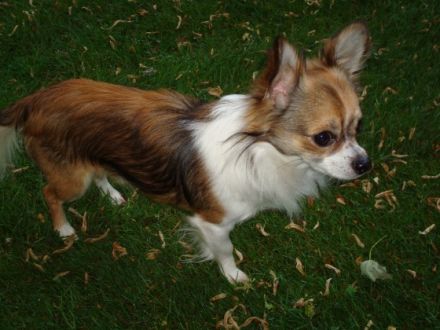 Eyko vom Bergmannsplatz