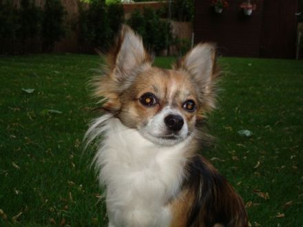 Eyko vom Bergmannsplatz