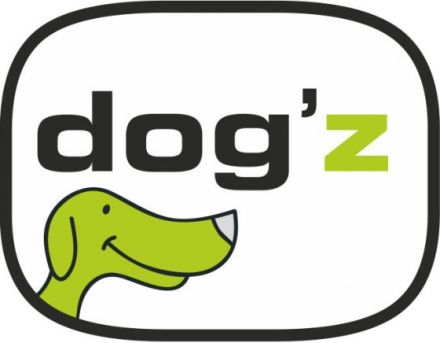 dog'Z Mobiles Hunde Training - Lernen vor Ort