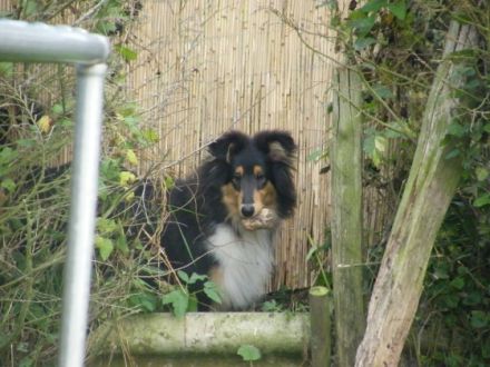 From Nelly`s Paradise