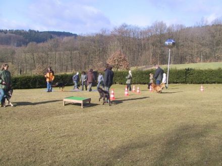Hundeschule Dogs Coaching