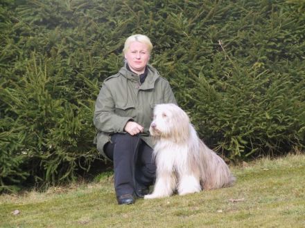 Hundeschule Dogs Coaching