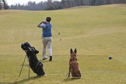 Hundezentrum TEAMCANIN