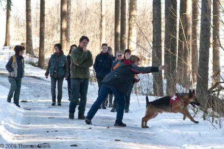 Hundezentrum TEAMCANIN
