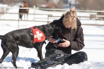Hundezentrum TEAMCANIN