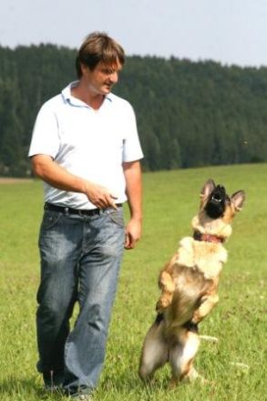 Hundezentrum TEAMCANIN