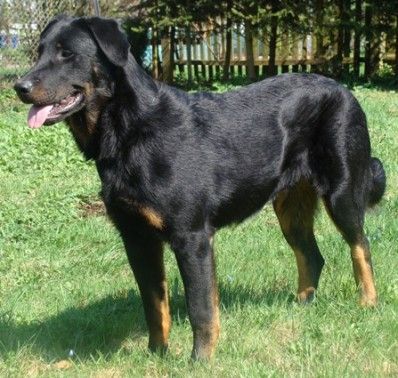 Du Gardien de la Puissance