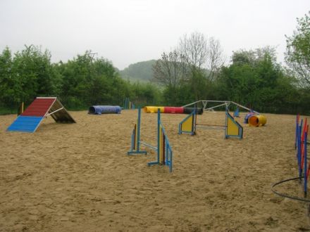 pleasure - Die Hundesportschule