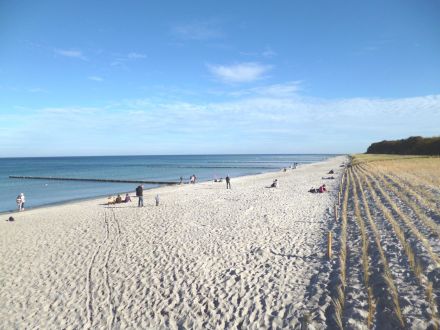 Ostsee-Fewo-Zingst - Urlaub mit dem Hund