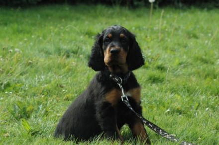 From the Noble Friends