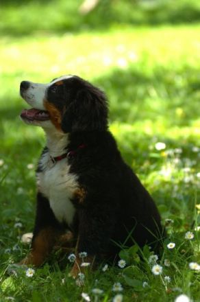 von der Frankenhöhe