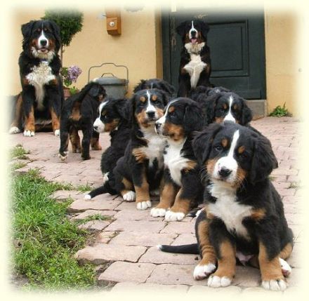 von der Frankenhöhe