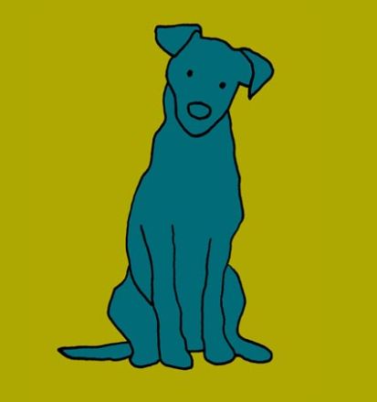 Hundeversität - Individuelles Hundetraining