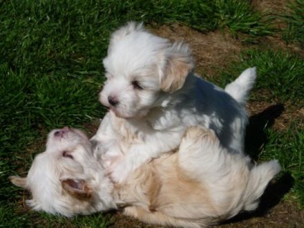 of the thousand Mountains