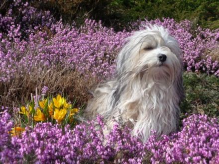 of the thousand Mountains