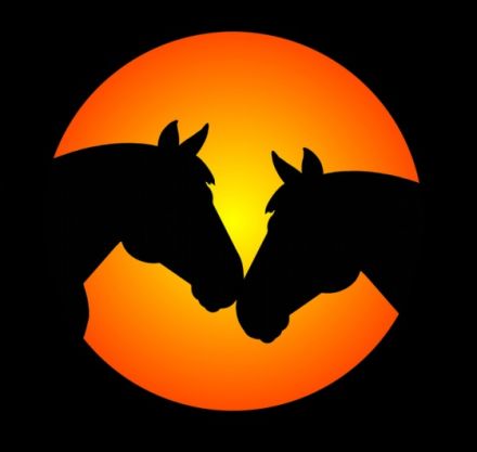 Mobile Tierheilpraxis u.Telefonische Beratung Gabriele Heil (VDT)