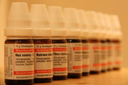 Tierheilpraktikerin Silvia Hohm