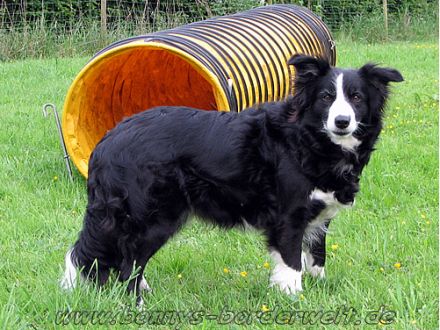 a leader from the tyre-stamp