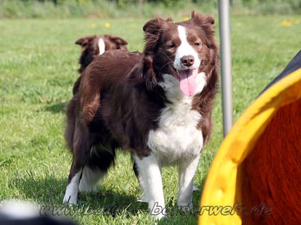 a leader from the tyre-stamp