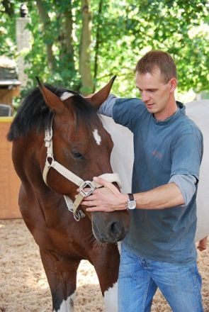 Tierheilpraktikermobil - Mobile Tierheilpraxis & osteopathische Pferdetherapie Stefan Luckow
