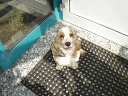 Tierpension Overländer