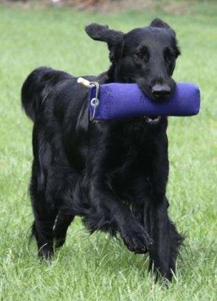 Stoneyard s dark velvet