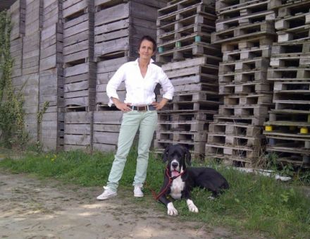 Gittes Hundetraining Bergstraße