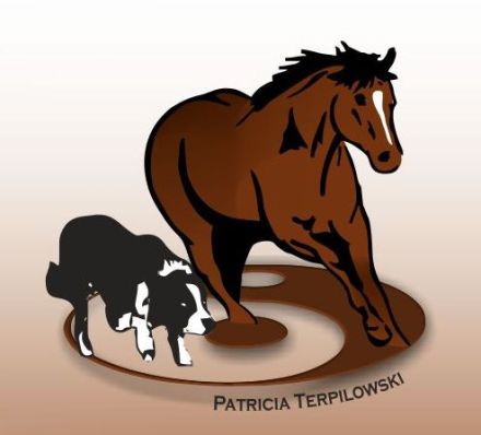 Tierphysiotherapie, Tierosteopathie für Klein- und Großtiere