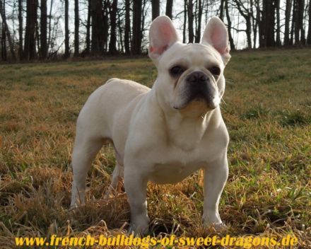 "Sam from Iron County"