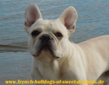 "Sam from Iron County"