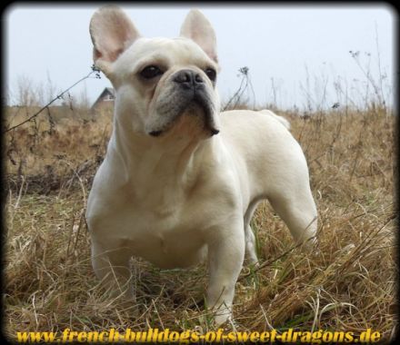 "Sam from Iron County"