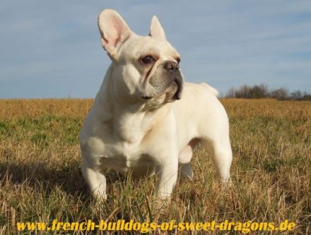 "Sam from Iron County"