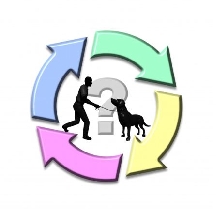 Hundeschule-Ich-Du-Wir