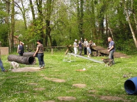 Hundeschule und Welpenschule beim IBC Datteln e.V.