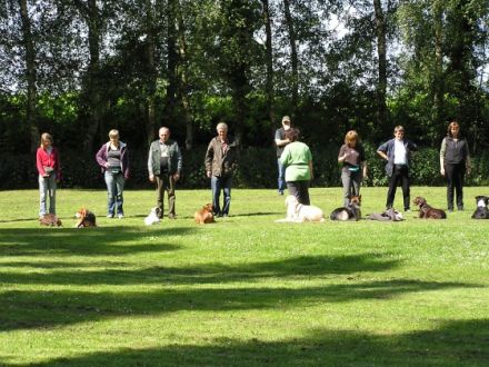 Hundeschule und Welpenschule beim IBC Datteln e.V.