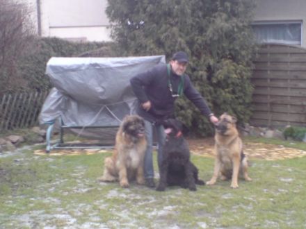 Hundeschule in Berlin Frank Lochmüller