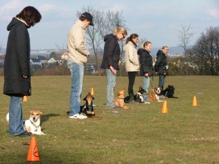 Eichsfelder Hundeschule