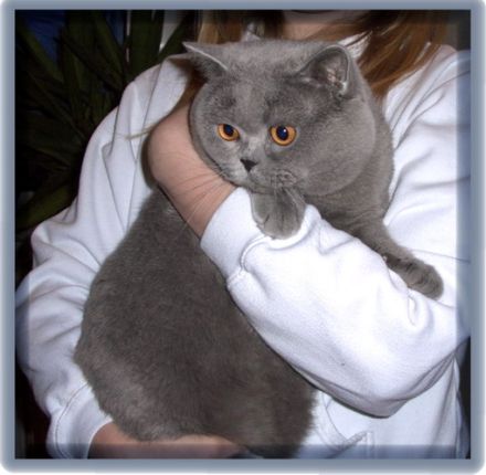 aus der Klosterstadt & vom Rossenrayer See