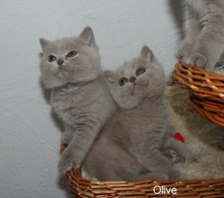 aus der Klosterstadt & vom Rossenrayer See