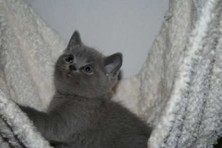 aus der Klosterstadt & vom Rossenrayer See