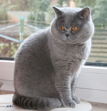 aus der Klosterstadt & vom Rossenrayer See