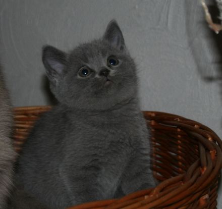 aus der Klosterstadt & vom Rossenrayer See