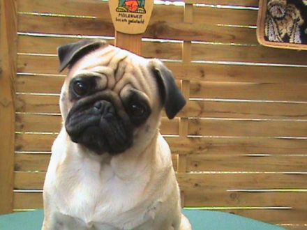 Von Vilma's Schlößchen